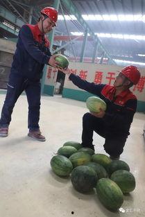 吃瓜一线工人,他们眼中的职场百态