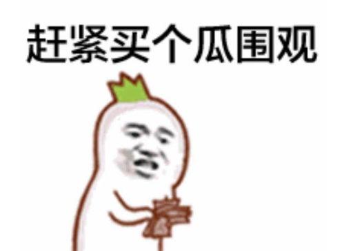 吃瓜群众进圈子视频,揭秘吃瓜群众进圈子的真实面目