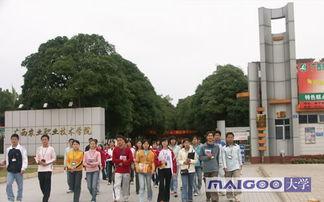 广西农职院吃瓜,揭秘校园网络热传的幕后真相