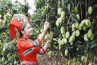 广西农职院吃瓜,揭秘校园网络热传的幕后真相