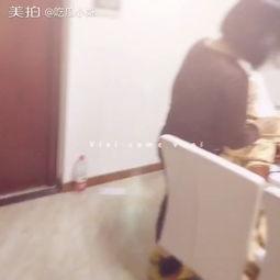 吃瓜小猪妹,揭秘娱乐圈背后的那些事儿