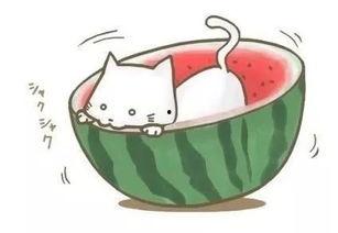 看球吃瓜文案短句,一场看球吃瓜的盛宴