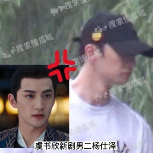 吃瓜富婆姐姐视频,视频背后的奢华生活与娱乐热点