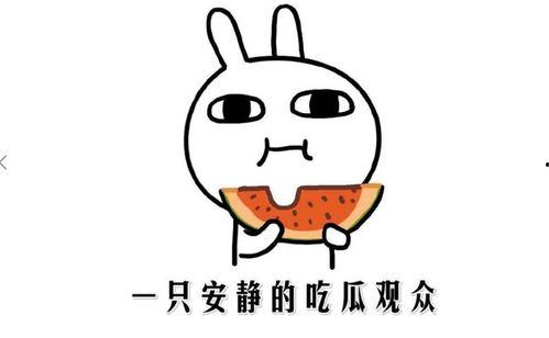 吃瓜嗑瓜子边吃边嗑,夏日休闲新风尚