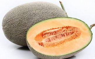 杏和哈密瓜能一起吃