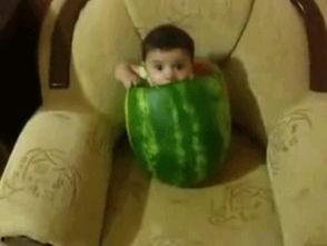 吃瓜现场笑饱,一场欢乐的“笑饱”盛宴