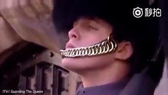 英国卫兵吃瓜视频,萌态十足引网友热议