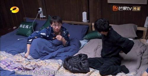 吃瓜睡觉的视频,揭秘“吃瓜睡觉”视频背后的娱乐现象