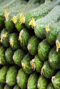 孕妇梦见买环瓜吃,孕妇梦见买环瓜吃的寓意与启示