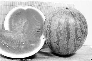 福建石狮吃瓜,探寻福建石狮的“吃瓜”文化之旅