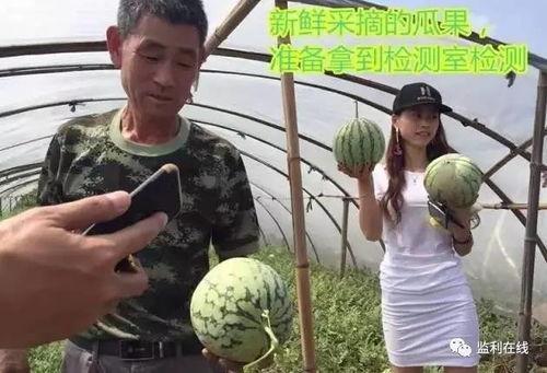 湖州吃瓜群众直播,揭秘当地美食与文化盛宴