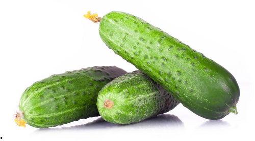 吃瓜先锋01,网络红人的崛起与影响力