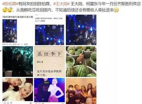 韩娱吃瓜直播,吃瓜群众眼中的明星幕后故事