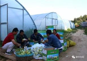 吃瓜群众凯里,揭秘娱乐圈幕后故事