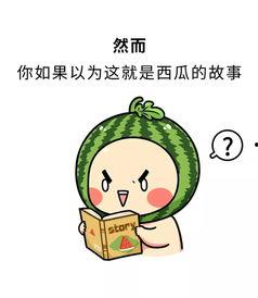 吃瓜谈爱,吃瓜群众眼中的爱情百态