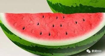 吃瓜之品,揭秘吃瓜之品的魅力与秘密