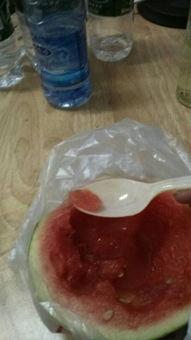 仓鼠可以吃白玉瓜吗,白玉瓜的适宜性解析