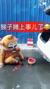 笨笨吃瓜直播现场视频,趣味横生，笑料百出