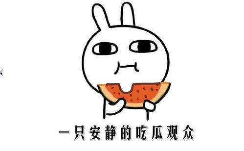 阳台吃瓜搞笑事件汇总