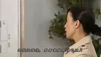 吃瓜小月小说