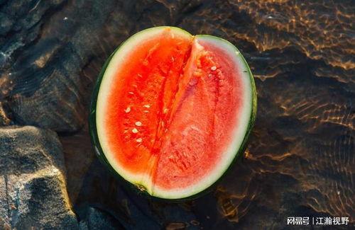 岑岑如何吃瓜,解锁夏日清凉新姿势