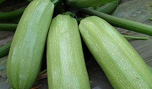 瓜怎么吃才能败火,瓜果败火新吃法