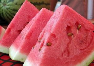 孕妇做梦煮瓜吃,煮瓜食趣，探寻孕妇心理奥秘