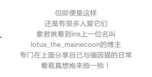 电报吃瓜猎奇,揭秘网络猎奇背后的真相与争议