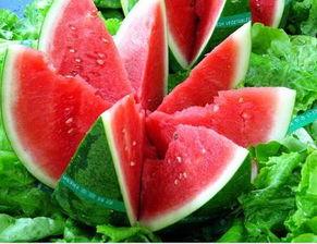 吃不着本地的瓜,探寻异地美味之旅