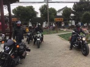 杭州西湖骑行吃瓜,悠闲夏日吃瓜时光