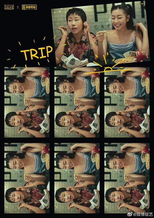 看图写话吃瓜记,一场别开生面的吃瓜盛宴