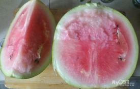 这辈子吃的瓜,盘点我这一生的瓜界风云