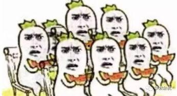 这辈子吃的瓜,盘点我这一生的瓜界风云