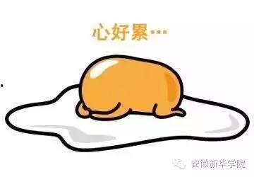 吃瓜被骗100,网络陷阱下的警示与反思