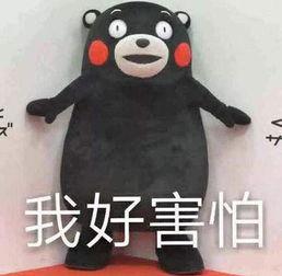 盘点搞笑吃瓜,笑料百出，欢乐无限