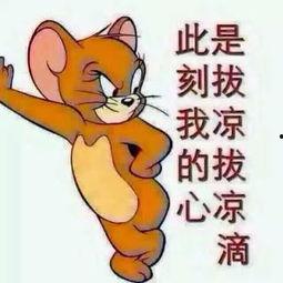 考研吃瓜群众图片,揭秘考研现场众生相