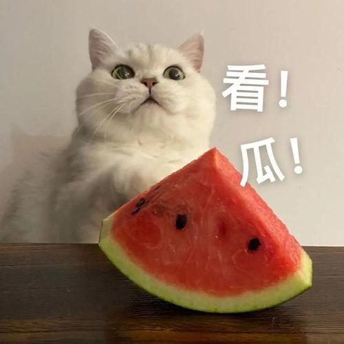 理智的吃瓜群众