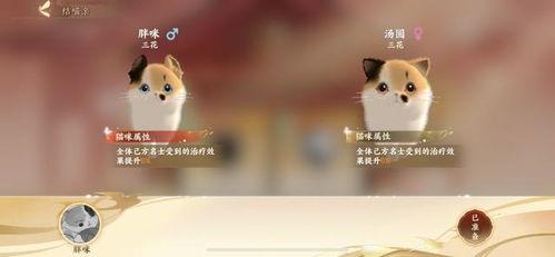萌宠打架主人吃瓜