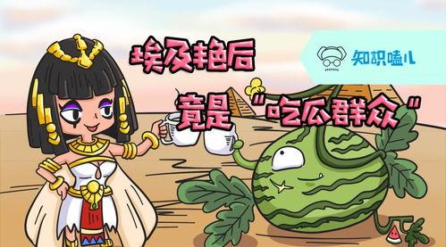 吃瓜必备知识大全
