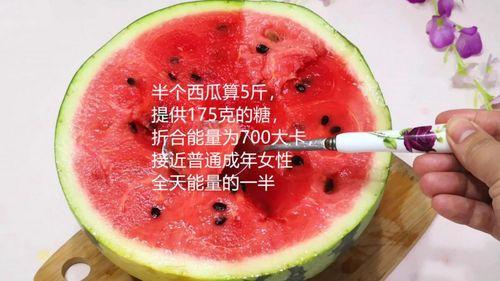 吃瓜必备知识大全