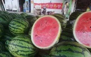 8 20吃瓜