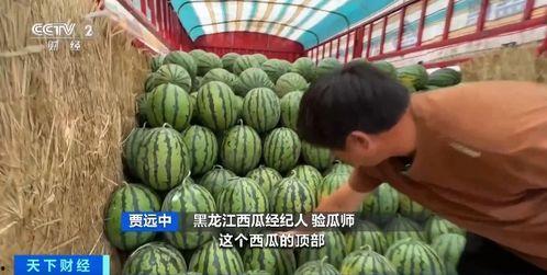 柳钢吃瓜,揭秘钢铁巨头的“甜蜜”生活