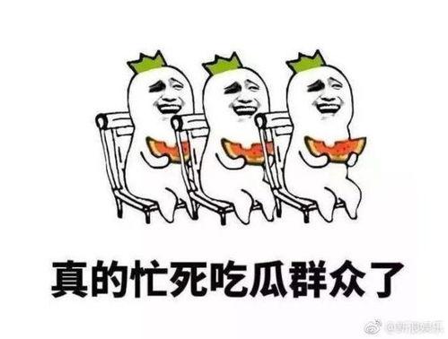 暴躁的吃瓜群众