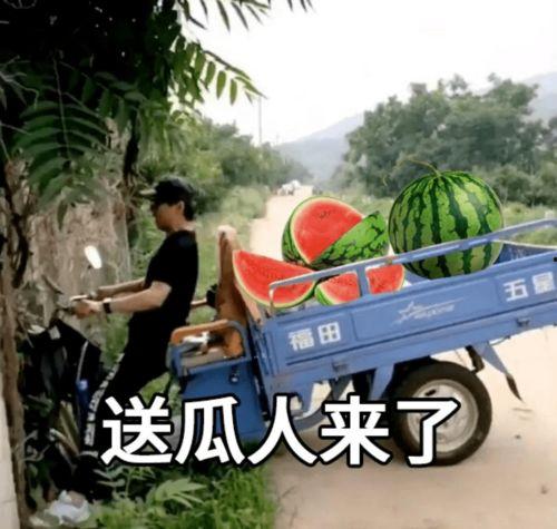 上蹿下跳吃瓜表情包