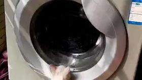 吃瓜洗衣机事件,揭秘网络舆论的发酵与反思