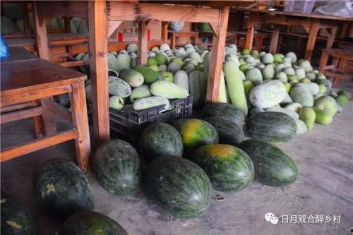 满树瓜怎么吃,解锁夏日美味新体验